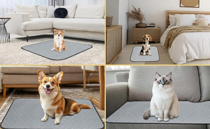 DAHAPYBOO Washable Pee Pads for Dogs 36x48,2Pack | Reusable Puppy Pads for Dog Non-Slip Waterproof Pet Training Pads for Crate, Playpen, Bed, Sofa,Whelping Box, Potty Training