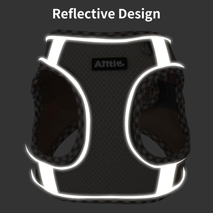 AIITLE Dog Harness and Leash Set - Ultra-Comfortable XXS-XL Vest with Strong Magic Tape & Glow-in-Dark Reflective Strips, Chafe-Free for Teddy, Schnauzer (Purple, M)