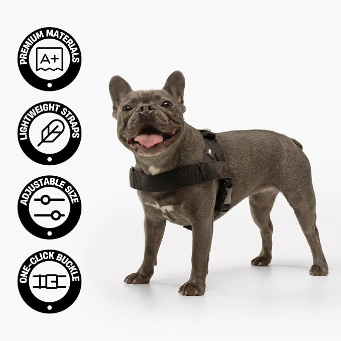 Dog Friendly Co. Dog Harness for Medium Sized Dogs (Grey Camo, Medium) | One Click Buckle, Chafe Resistant Webbing, Adjustable Neck & Chest, and Heavy Duty D-Ring, Sturdy Comfortable and Easy to Use
