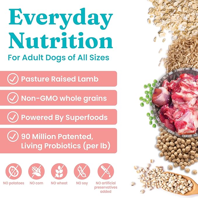Solid Gold, Hund-N-Flocken, Dog Food Dry with Lamb, Rice and Omega 3 Fish Oil for Dogs, Probiotics, 24 LB
