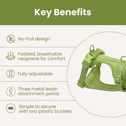 No Pull Dog Harness and Leash Set 3-in-1 Adjustable Anti Pull Dog Harness with Hands-Free Matching Leash,Poop Bag Holder,Easy Walk Dog Harness Small Sized Dog(Olive Green)