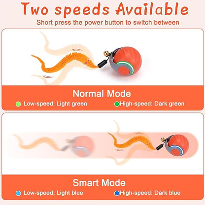 Interactive Cat Toy Ball - Motion-Activated, USB Rechargeable Cat Toys for Indoor Cats with Anti-Scratch Cover & 2 Changeable Tails - Enrichment Toy for Active Cats & Kittens