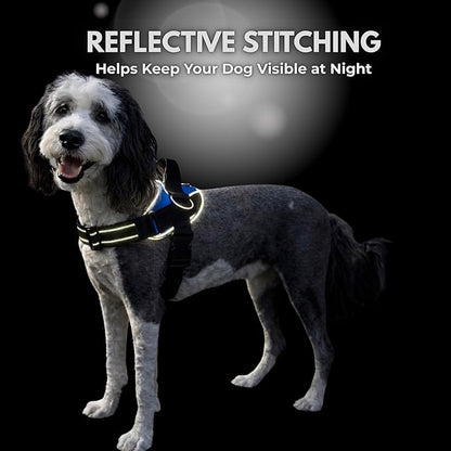 ShawnCo Essential Dog Harness, No-Pull Pet Vest (Orchid,XL) | 3 Leash Clips, Easy On, No-Choke, Reflective, Adjustable Fit, Padded Comfort, Control Handle, For Small, Medium & Large Dogs