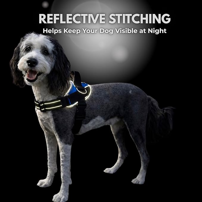 ShawnCo Essential Dog Harness, No-Pull Pet Vest (USA Flag,M) | 3 Leash Clips, Easy On, No-Choke, Reflective, Adjustable Fit, Padded Comfort, Control Handle, For Small, Medium & Large Dogs