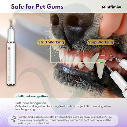 Dog Plaque and Tartar Remover