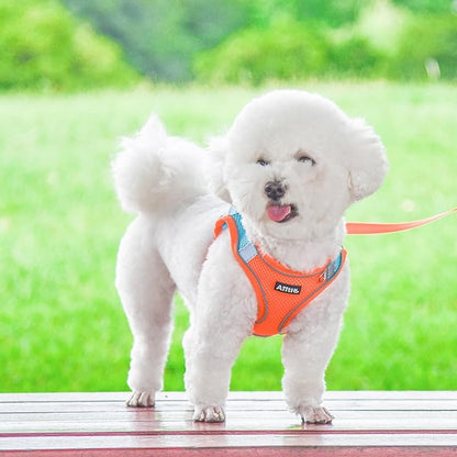 AIITLE Comfortable Dog Harness and Leash Set for Walking - Summer Step in Vest Harness,Reflective Bands, Adjustable No Pull Puppy Essentials, for Small Dogs and House Cats Orange XS