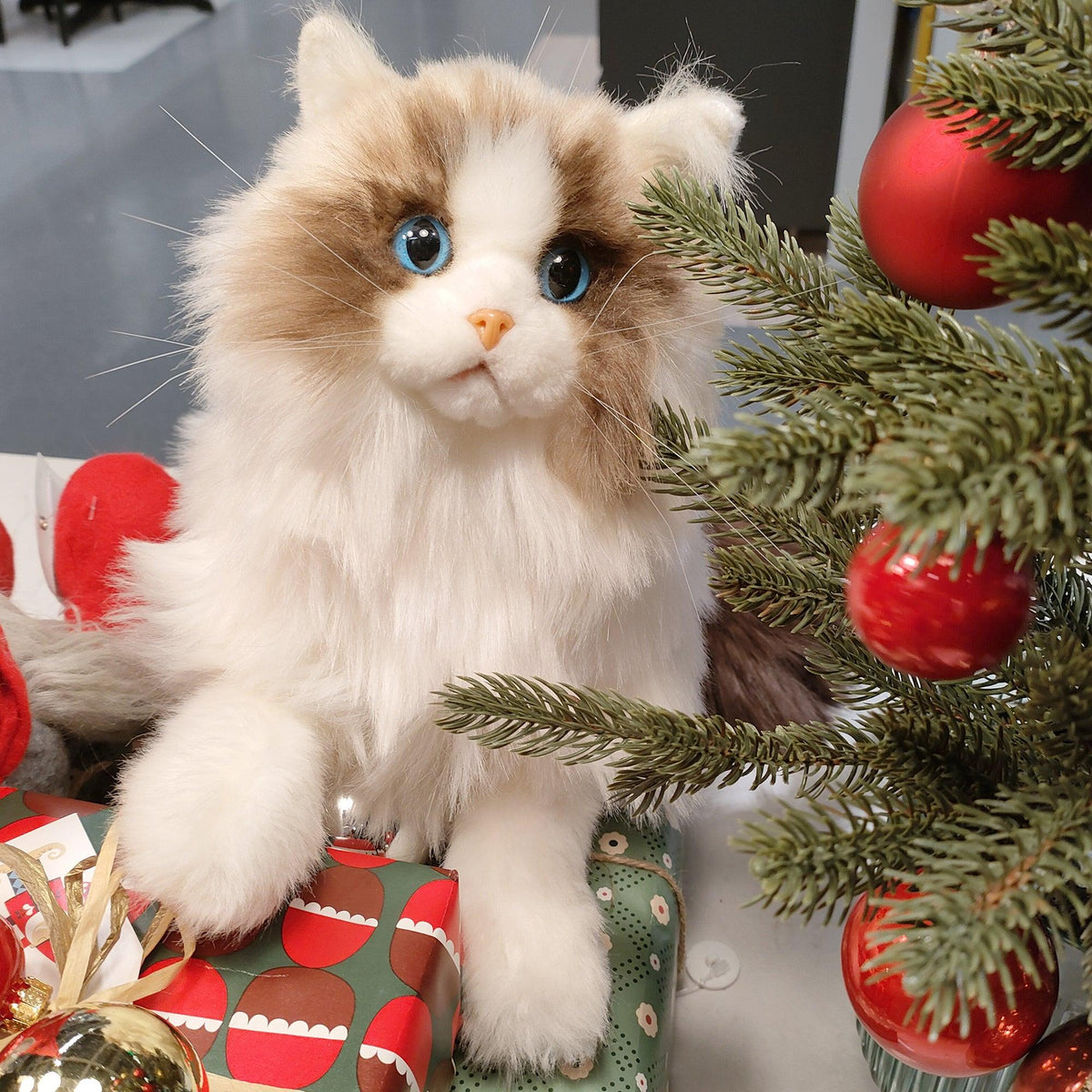 Ragdoll Weighted Plush – Realistic Cozy Calming Toy