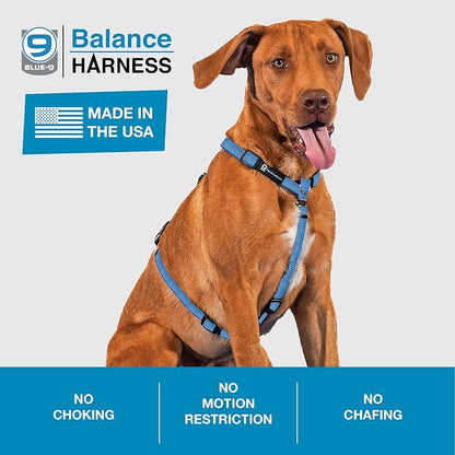 Blue-9 Reflective Buckle-Neck Balance Harness, Fully Customizable Fit No-Pull Harness with 3M Reflective Stitching, Ideal for Dog Training and Obedience, Made in The USA, Blue, XS