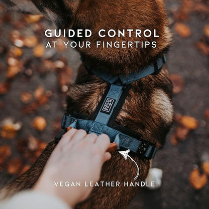 MADE TO ROAM Premium Explorer Harness - Y-Shaped Dog Harness with Adjustable Durable Nylon, Soft Padding, Metal Buckles and Leather Handle for Small, Medium, Large Dogs (Arizona Heartbeat, Size 3)