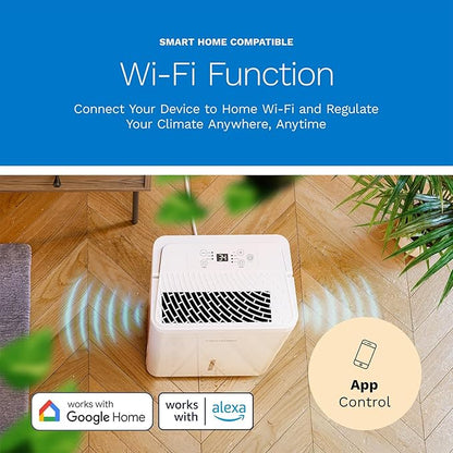 hOmeLabs Dehumidifier