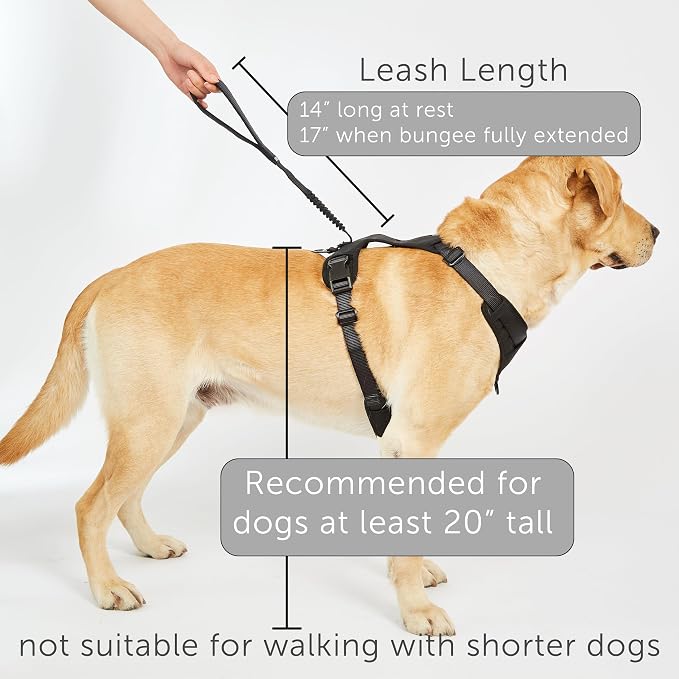 TUG Grab Dog Harness with Built-in Magnetic Traffic Leash (Small/Green) | Padded Magnetic Traffic Handle | Dual Leash Clips | 4-Point Adjustable Fit | Durable Nylon