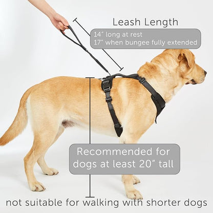 TUG Grab Dog Harness with Built-in Magnetic Traffic Leash (Small/Green) | Padded Magnetic Traffic Handle | Dual Leash Clips | 4-Point Adjustable Fit | Durable Nylon