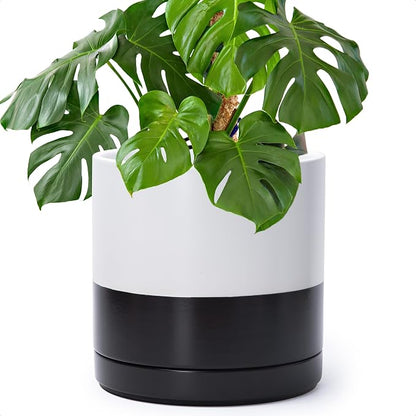D'vine Dev 10 Inch Ceramic Planter Pot, Black White Two Tone, 94-O-E-L | Modern Cylinder Design, Drainage Hole & Saucer Included, Stable Structure, Elegant Home Accent