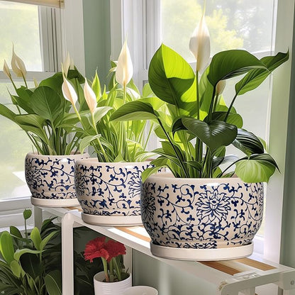 SQOWL Ceramic Flower Pots - 6 Inch Plant Pot Indoor with Drainage Hole and Saucer, Porcelain Ceramic Planter Outdoor, Decorative Round Small Planter, House Decor, Plant Lover Gifts, Blue and Beige