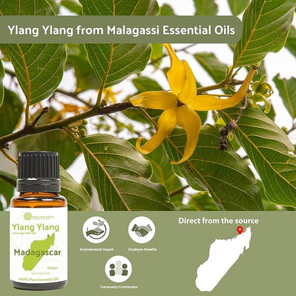 Ylang Ylang Essential Oil