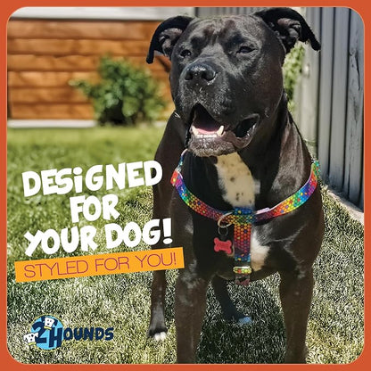 2 Hounds Design - Freedom No-Pull Harness & Training Leash in Blue and Rainbow | Dual Leash Loops, No Pulling on Walks | Lined to Prevent Chaffing | for Small Sized Dogs (Size S, Chest 20”- 24”)
