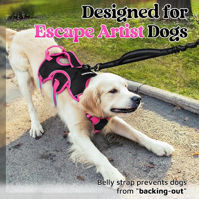 rabbitgoo Escape Proof Dog Harness for Large, No Pull with Lift Handle | No Escape, Full Soft Padded, Reflective Adjustable Vest, Leash Clip for Walking Hiking Training, Rose & Black, Large