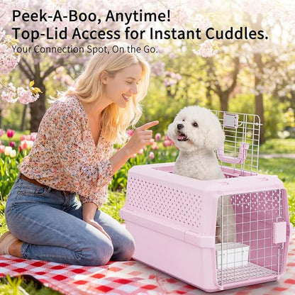 RIZZARI Pet Travel Carrier, 22" Hard Kennel for Cats & Small Dogs | Strong Wire Door,Comfortable Transport,Reliable Lock Design,Ventilated Side Panels,Lightweight Structure,Easy Daily Care