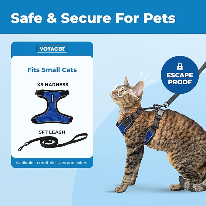 Voyager Escape Proof Cat Harness and Leash Set with Reflective Stitching, Neoprene Handle 5ft - Supports Small, Medium and Large Cats, Kittens for Walking by Best Pet Supplies - BT-Royal Blue, XS