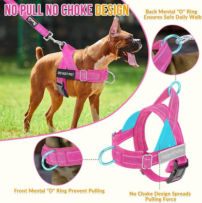 SlowTon No Pull Dog Harness with Front Clip - Heavy Duty, Soft Padded | Neck & Chest Adjustable, Tactical Pet Vest and Leash Set for Large Medium Sized Dogs, for Easy Walk & Training, Fuchsia L