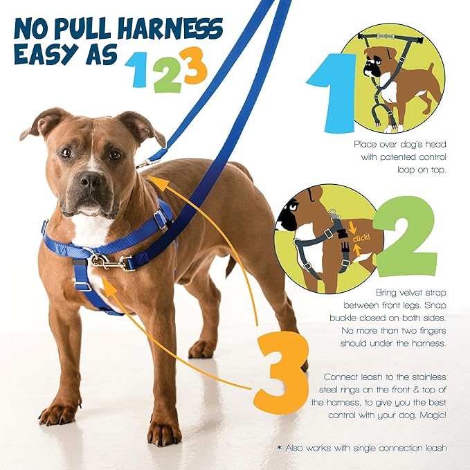 2 Hounds Design Freedom No Pull Dog Harness and Leash, 5/8" SM, Turquoise | Promotes Easy Walking & Comfortable Control, Secure Fit, Adjustable Harness and Leash Set for Small Sized Dogs, Made in USA