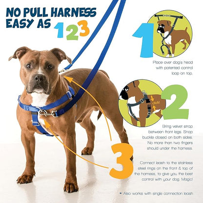 2 Hounds Design Freedom No Pull Dog Harness and Leash, 5/8" SM, Turquoise | Promotes Easy Walking & Comfortable Control, Secure Fit, Adjustable Harness and Leash Set for Small Sized Dogs, Made in USA