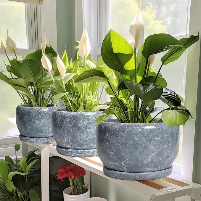 SQOWL 6 Inch Plant pots Indoor - Ceramic Planter with Drainage Hole and Saucer, Ceramic Flower Pot Outdoor, Decorative Round Planter, Home Decor Living Room, Gifts for Plant Lovers, Gray