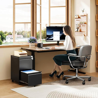 MIIIKO 2 Drawer File Cabinet on Wheels, Home Office Mobile File Drawers Under