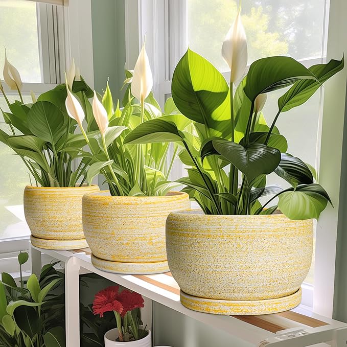 SQOWL Ceramic Planters for Indoor Plants - 10 Inch Plant Pot with Drainage Hole and Saucer, Round Ceramic Flower Pot Outdoor, Decorative Large Planter, Office Decor, Gifts for Women Men, Yellow