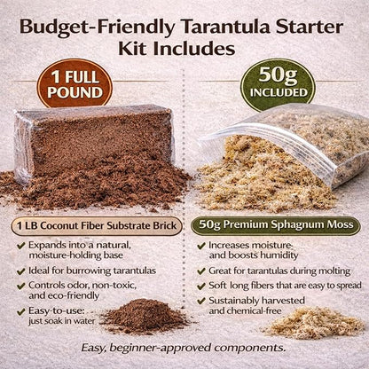 Tarantula Rehousing Supply Kit - Coco Fiber Substrate, Moss, Cork Bark Hide & Water Dish - Essential Terrestrial Tarantula Setup