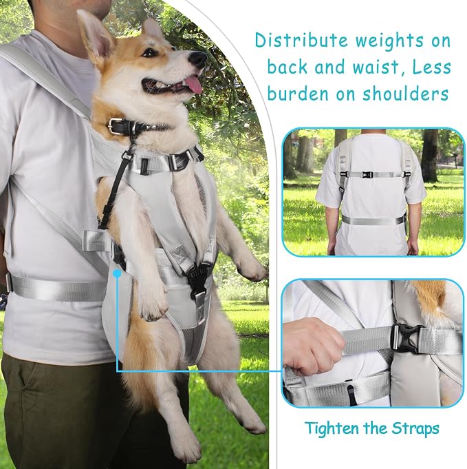 PetBonus Dog Front Carrier Backpacks, Legs Out Easy-fit Puppy Chest Carrier | Hands Free, Adjustable, Safety Strap, Walking Hiking Cycling Motorcycle bag, For Small Medium Dogs (Grey, M)