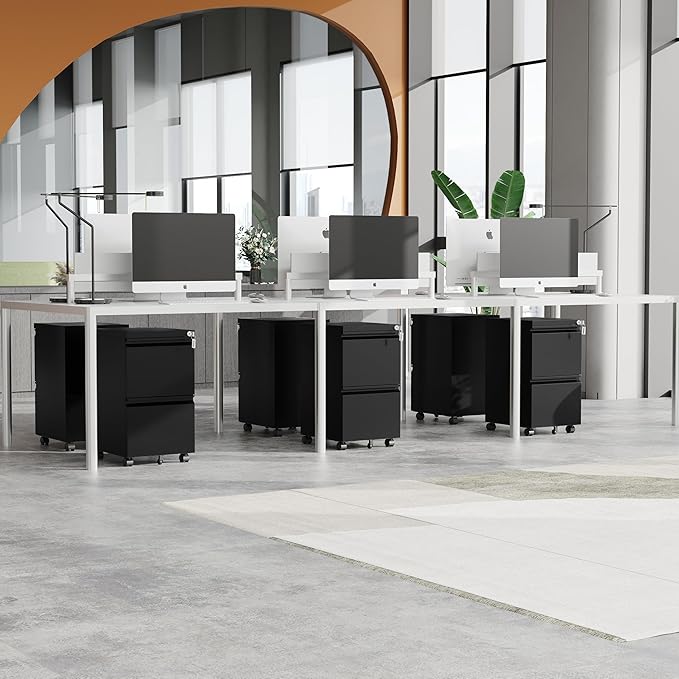 MIIIKO 2 Drawer File Cabinet on Wheels, Home Office Mobile File Drawers Under