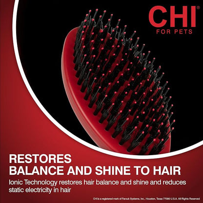 CHI for Dogs Porcupine Pin and Bristle Dog Grooming Brush Detangling and Smoothing Brush for Short Medium and Long Dog Coats Helps Remove Loose Hair and Light Tangles Ergonomic Soft Grip | Detangling and smoothing formula, removes loose hair and light ...