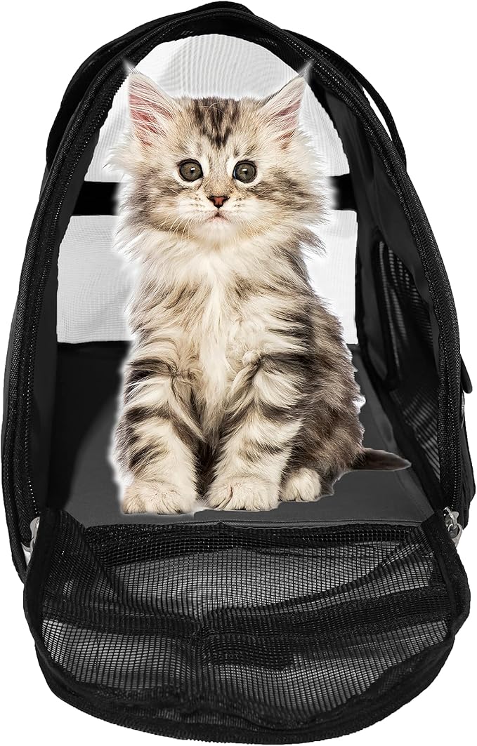 Pet Carrier Soft-Sided Carriers for Cat Carriers Dog Carrier for Small Medium Cats Dogs Puppies Pet Carrier Airline Approved Cat Dog Pet Travel Carrier (Medium,Black)