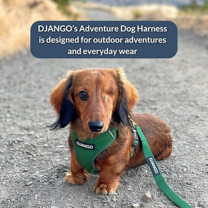 Adventure Dog Harness - Stylish and Durable Small Dog Harness for Outdoor Adventures and Everyday Wear - Forest Green Neoprene Adjustable Harness for Dogs with Reflective Piping & Brass D-Ring