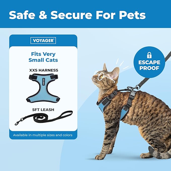 Voyager Escape Proof Cat Harness and Leash Set with Reflective Stitching, Neoprene Handle 5ft - Supports Small, Medium and Large Cats, Kittens for Walking by Best Pet Supplies - BT-Baby Blue, XXS