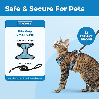Voyager Escape Proof Cat Harness and Leash Set with Reflective Stitching, Neoprene Handle 5ft - Supports Small, Medium and Large Cats, Kittens for Walking by Best Pet Supplies - BT-Baby Blue, XXS