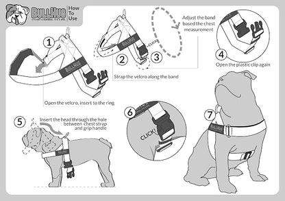 Adjustable Dog Harness– No Pull, No Choke – for English Bulldogs, French Bulldogs, Pugs & Broad-Chested Breeds – Easy, Safe Walks (NEON Green, Medium)