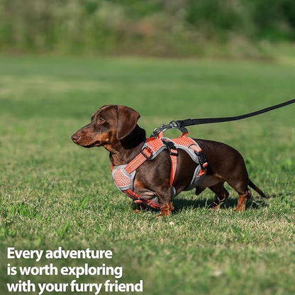 Escape Proof Dog Harness, Dachshund Harness, Reflective Dog Harness with Handle, Durable,Adjustable Vest for Small Medium Large Dogs Walking, Training, and Running Gear (Orange,XL)