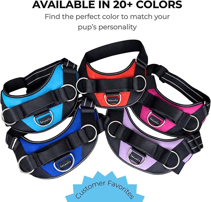 ShawnCo Essential Dog Harness, No-Pull Pet Vest (Midnight,XS) | 3 Leash Clips, Easy On, No-Choke, Reflective, Adjustable Fit, Padded Comfort, Control Handle, For Small, Medium & Large Dogs