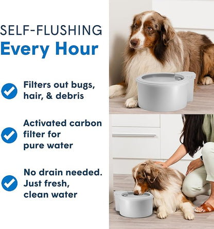 Always Full® 7" Self-Refilling Cat Water Bowl with Wall Unit | Self-refilling filtered water with app-enabled hydration monitoring; easily upgradeable to the Always Full® Wall Unit.