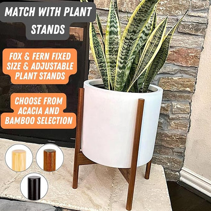 Fox & Fern Large Indoor Planter, Modern Large Plant Pot for Indoor or Outdoor, UV and Frost Resistant - 12 Inch, Matte White Flower Pot with Drainage Plug, Lightweight