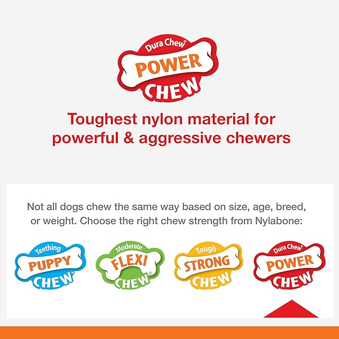 Nylabone Baguette Power Chew Toy for Dogs, Dog Toys for Aggressive Chewers, Roast Chicken Flavor, Large Dogs - Up to 50 lbs, 1 Count