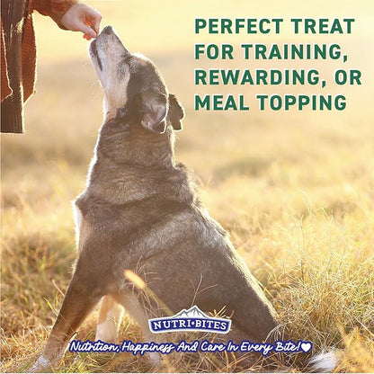 Nutri Bites Freeze Dried Beef Liver Dog & Cat Treats | Healthy Pet Training Treats or Food Topper | All Natural, Single Ingredient, High Protein | Premium Bulk Value Pack, 17.6 oz