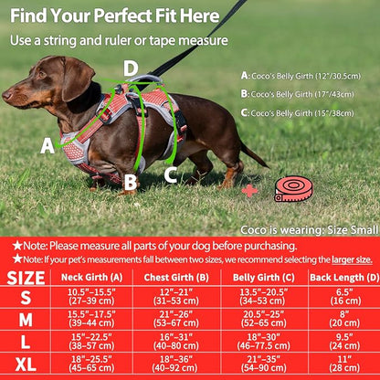 Escape Proof Dog Harness, Dachshund Harness, Reflective Dog Harness with Handle, Durable,Adjustable Vest for Small Medium Large Dogs Walking, Training, and Running Gear (Red,S)