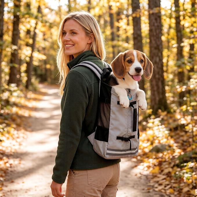 Big Dog Backpack Carrier, Grey-M | Extra Large Pet Carrier for 66lbs Dogs, Fully Adjustable Water-Resistant Dog Travel Bag for Hiking Cycling Outdoor Adventures