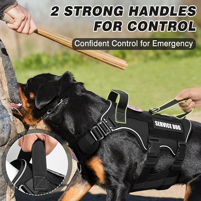 Tactical Service Dog Vest and Leash Set,Heavy Duty Harness with Metal Buckles for Medium Sized Dogs,Adjustable No Pull Pet Vest with Patches for Training Working,Black M