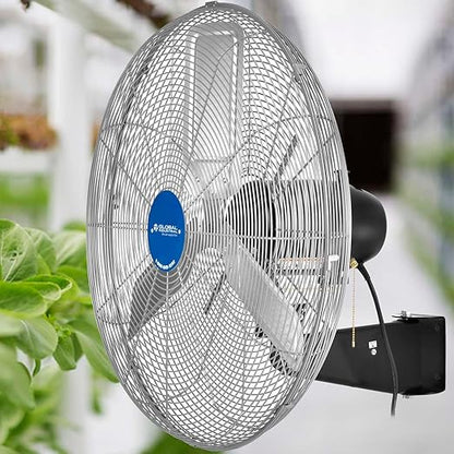 Global Industrial Deluxe Wall Mount Fan, Fixed and Oscillating Head, 3 Speed