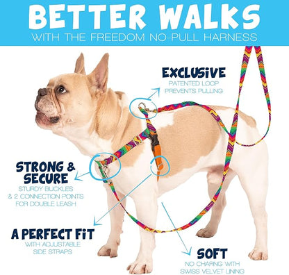 2 Hounds Design Freedom No Pull Dog Harness and Leash, 1" LG, Raspberry | Promotes Easy Walking & Comfortable Control, Secure Fit, Adjustable Harness and Leash Set for Large Sized Dogs, Made in USA