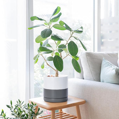 D'vine Dev 8.2 Inch Ceramic Planter Pot, White/Grey, 94-O-D-6 | Modern Cylinder Design, Drainage Hole & Saucer Included, Stable Structure, Elegant Home Accent